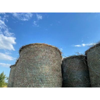 Сетка для обмотки рулонов PREMIUM 1,23 × 3000 м × 290 кг Изображение